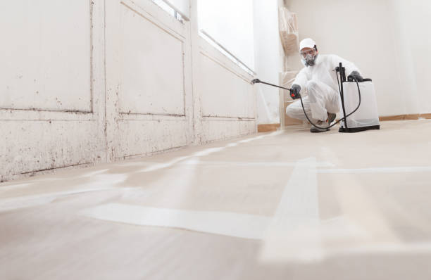 24/7 Emergency Black Mold Remediation experts in Poquoson, VA